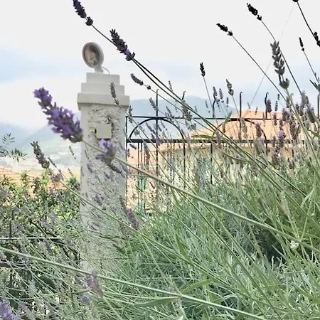 Villa Bruna Villa
